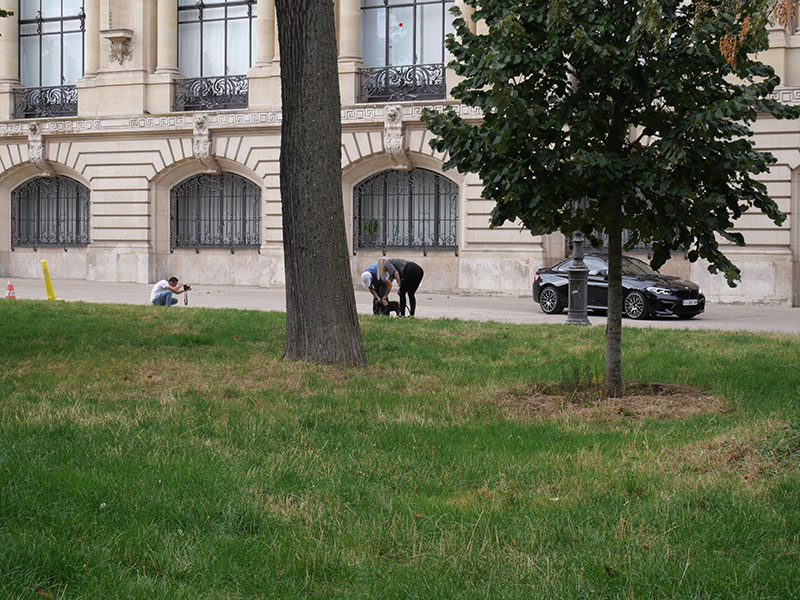 jardin aux abords du petit palais