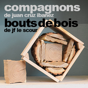 bouts de bois